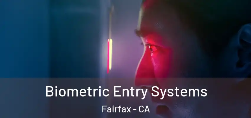  Biometric Entry Systems Fairfax - CA
