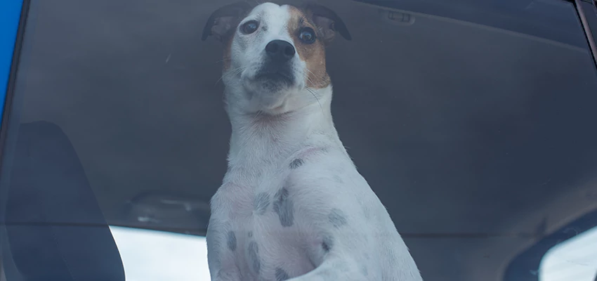 Car Lockout Solutions in Fairfax, California